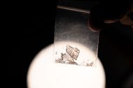 Ethyl chloride and methamphetamine are often misused as recreational drugs (Image via Getty/Matt Hunt/ NurPhoto)